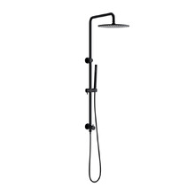 Carson Gooseneck Twin Shower